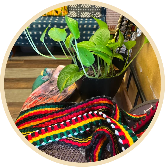 Pothos plant and colorful woven textile.